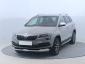 Škoda Karoq, 2019