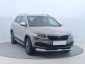 Škoda Karoq, 2019