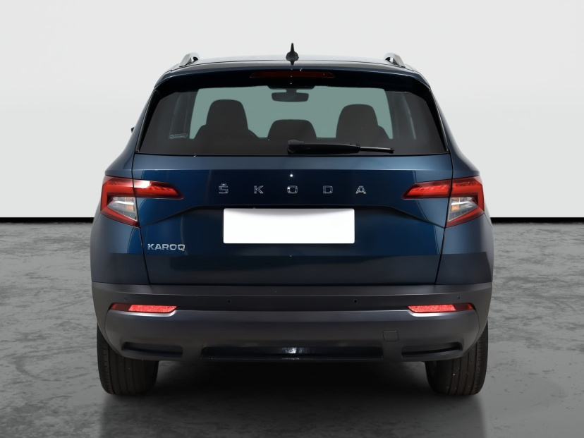 Škoda Karoq, 2021