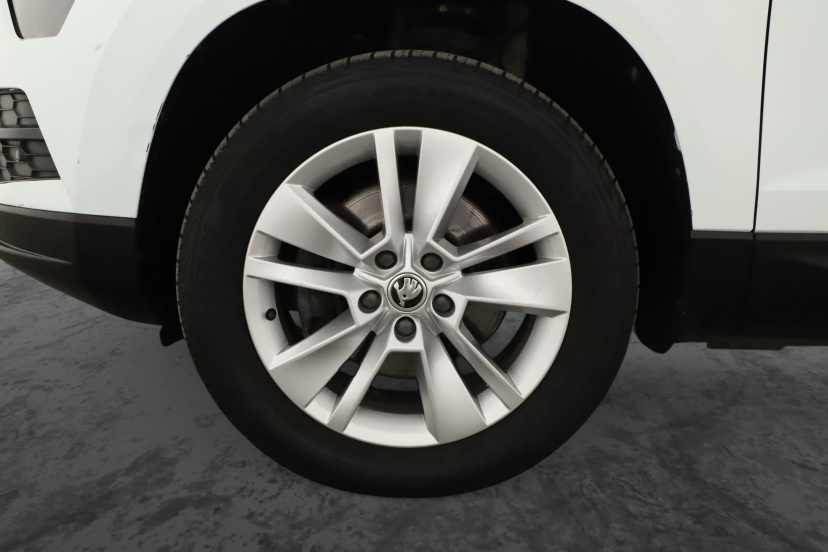 Škoda Karoq, 2018
