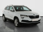 Škoda Karoq, 2018