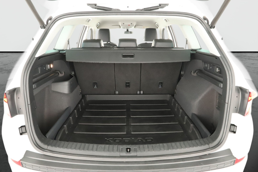 Škoda Kodiaq, 2019