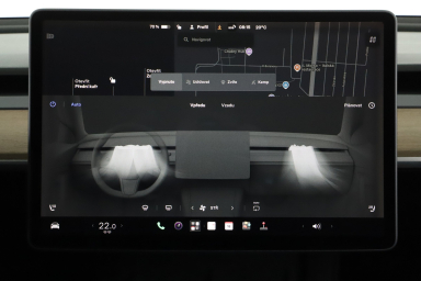 Tesla Model 3 - 2021