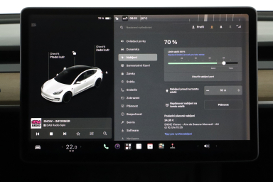 Tesla Model 3 - 2021