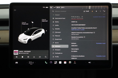Tesla Model 3 - 2021