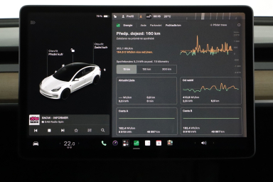 Tesla Model 3 - 2021