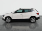 Škoda Karoq, 2019