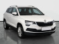 Škoda Karoq, 2019