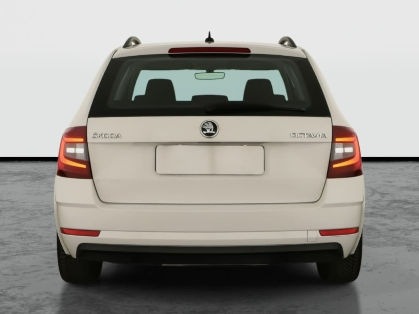 Škoda Octavia, 2019