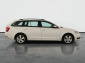 Škoda Octavia, 2019