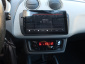 Seat Ibiza, 2010