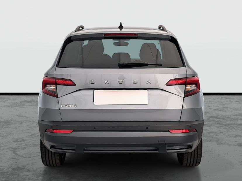Škoda Karoq, 2021