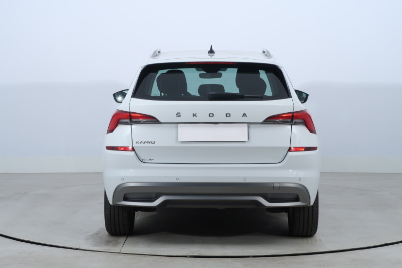 Škoda Kamiq, 2020
