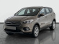 Ford Kuga, 2019