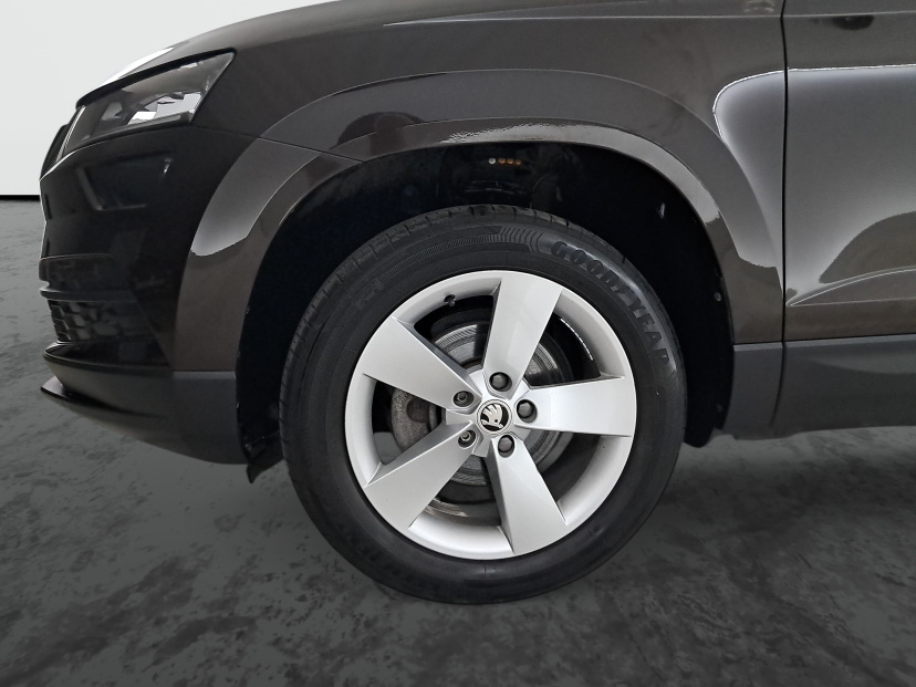 Škoda Karoq, 2021