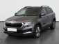 Škoda Karoq, 2023