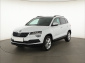 Škoda Karoq, 2019