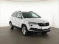 Škoda Karoq, 2019