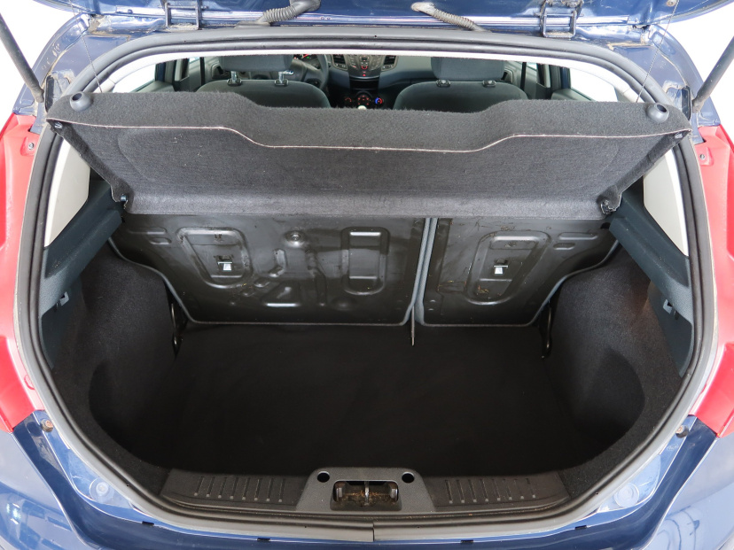 Ford Fiesta, 2010