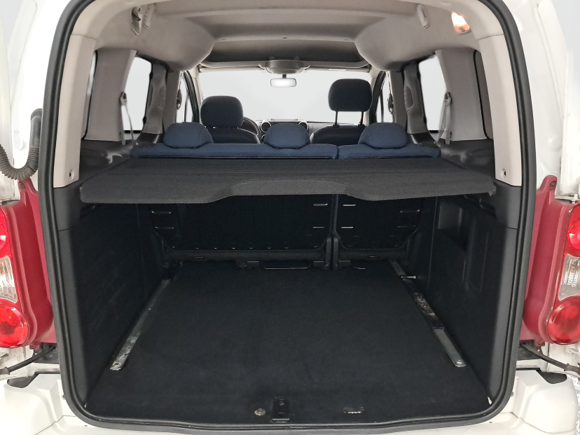 Citroen Berlingo, 2009