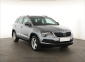 Škoda Karoq, 2019
