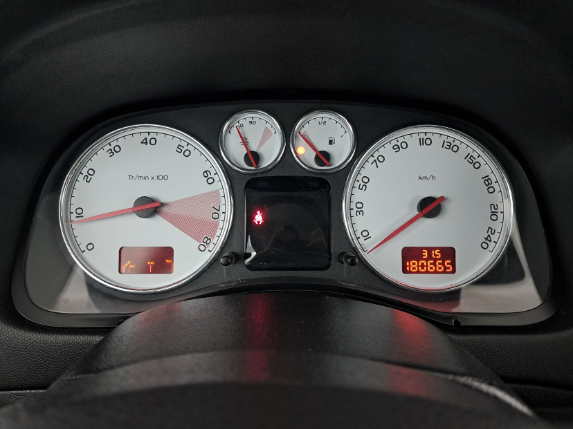 Peugeot 307, 2004