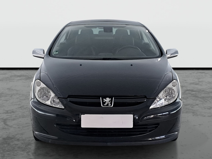 Peugeot 307, 2004