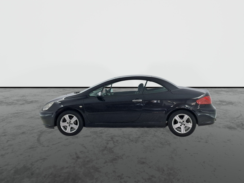 Peugeot 307, 2004