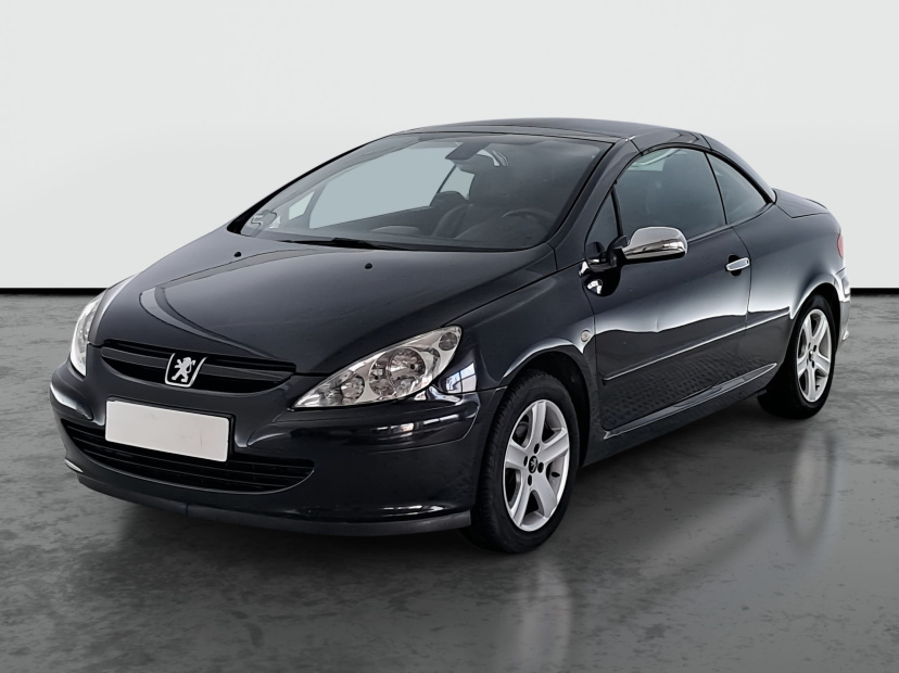 Peugeot 307, 2004