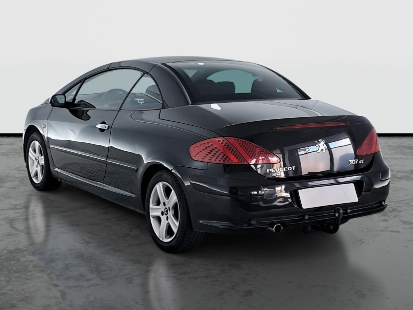 Peugeot 307, 2004