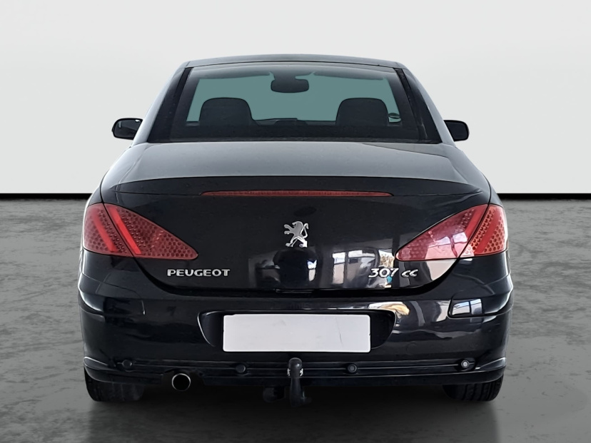 Peugeot 307, 2004