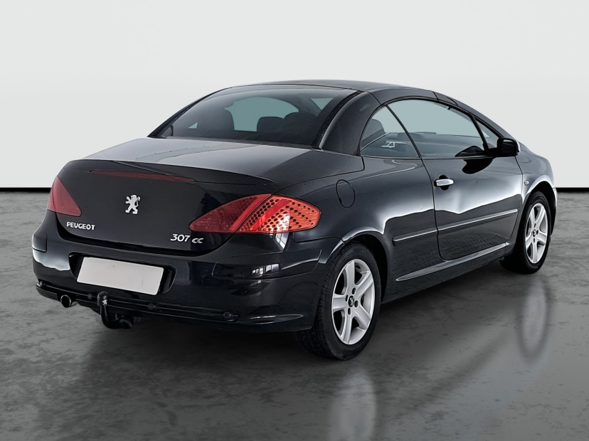 Peugeot 307, 2004