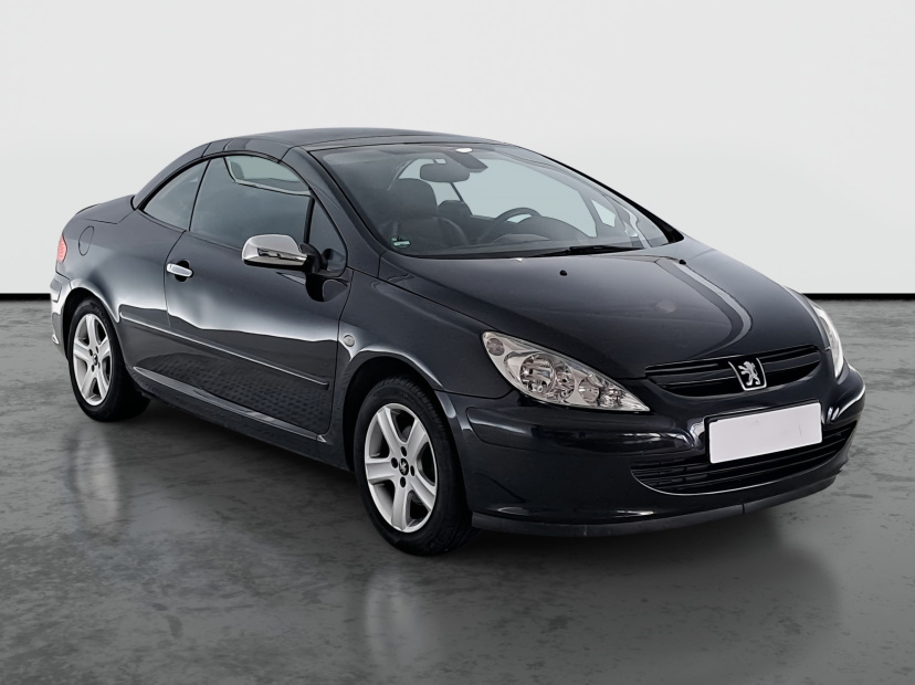 Peugeot 307, 2004