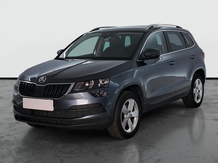 Škoda Karoq, 2019