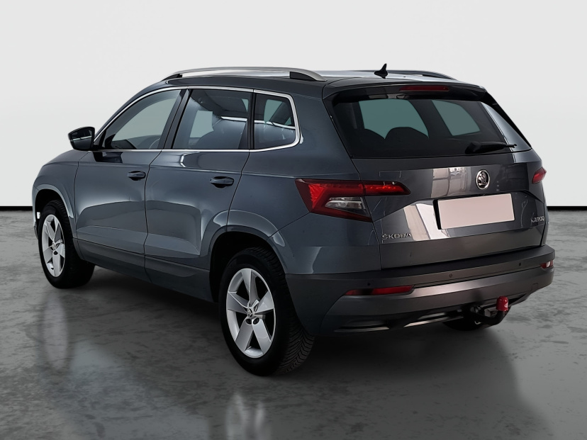 Škoda Karoq, 2019