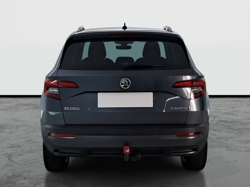 Škoda Karoq, 2019