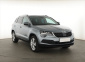 Škoda Karoq, 2017