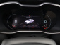 MG ZS SUV, 2024