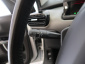 Citroen C4 Cactus, 2020