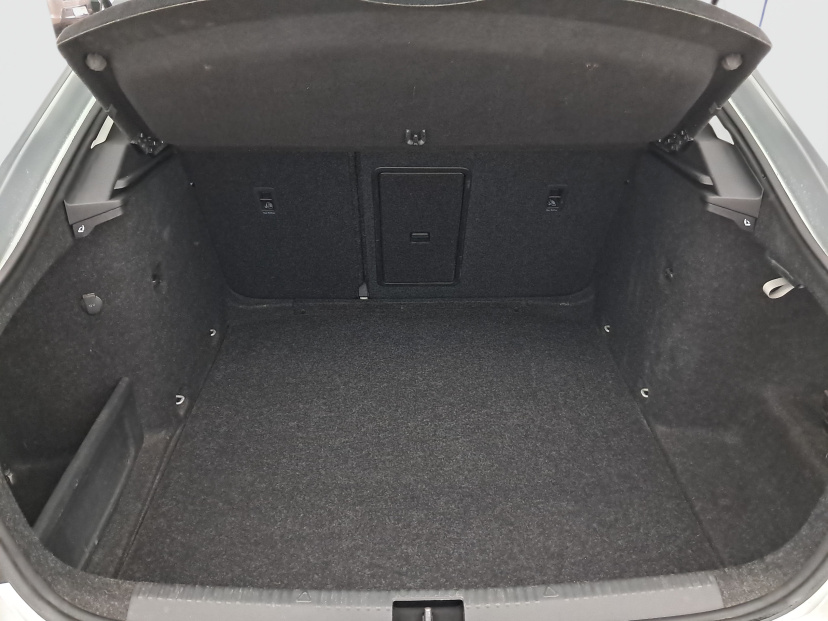 Škoda Octavia, 2019
