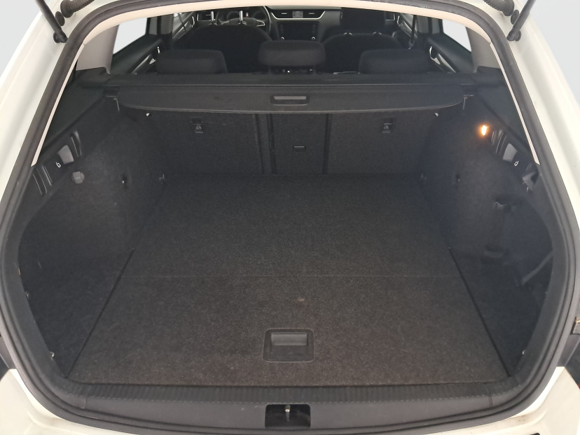 Škoda Octavia, 2019