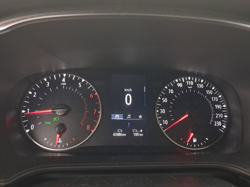 Renault Megane, 2022