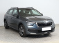 Škoda Kamiq, 2019