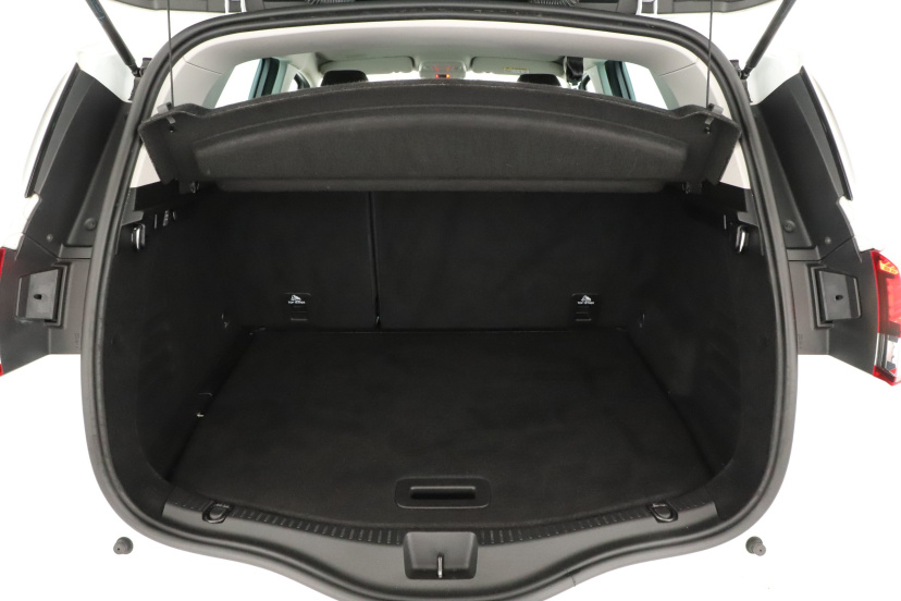 Renault Scenic, 2021
