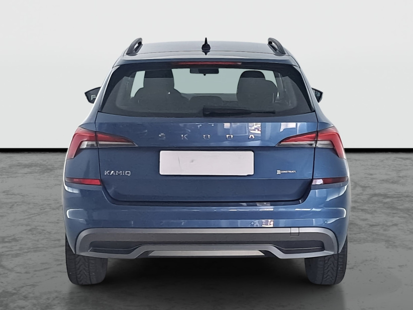 Škoda Kamiq, 2020