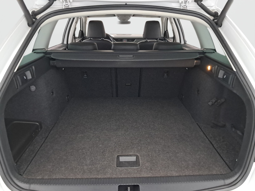 Škoda Octavia, 2019