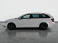 Škoda Octavia, 2019