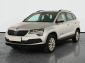 Škoda Karoq, 2021