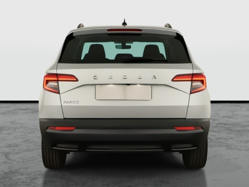 Škoda Karoq, 2021
