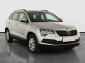 Škoda Karoq, 2021